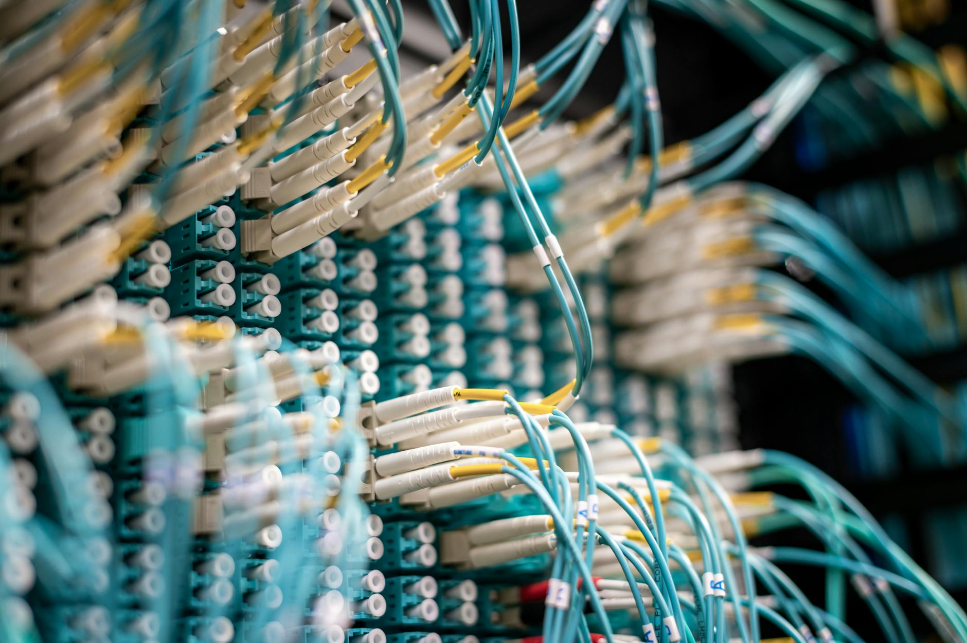 Cat6 vs Cat6A vs Fibra Óptica: cuál elegir según tu infraestructura en Cali