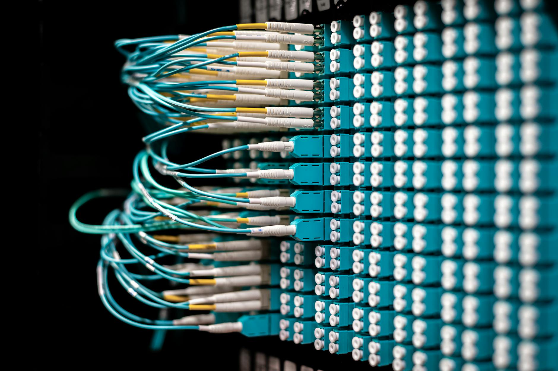 Por qué el 73% de las redes empresariales en Cali fallan antes de los 2 años